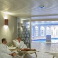 What is Spa in Latin? A Comprehensive Guide