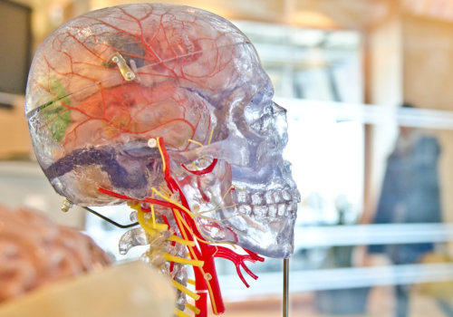 Understanding Prefixes in Medical Terminology